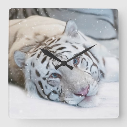 Witte Tijger Vierkante Wandklok (Voorkant)