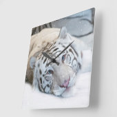 Witte Tijger Vierkante Wandklok (Hoek)
