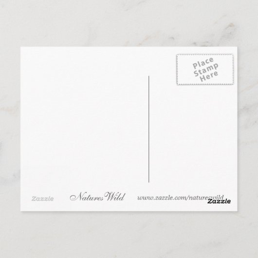 Witte tijgerBriefkaarten Briefkaart (Achterkant)