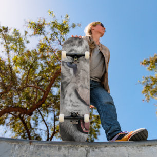 Witte Tijgerkop Wilde Schoonheid Persoonlijk Skateboard