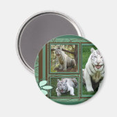 Witte tijgermagneet magneet (Voorkant / Achterkant)