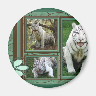 Witte tijgermagneet magneet