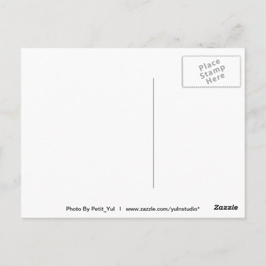 Witte Tijgers Briefkaart (Achterkant)