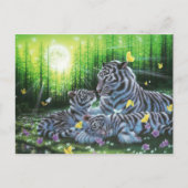 Witte tijgers briefkaart (Voorkant)