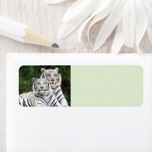 Witte tijgers etiket (Insitu)