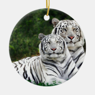 Witte tijgers keramisch ornament