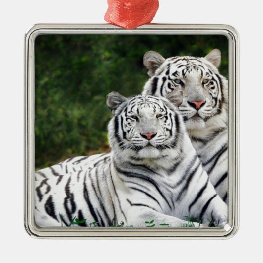 Witte tijgers metalen ornament (Voorkant)