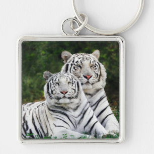 Witte tijgers sleutelhanger