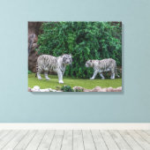 Witte tijgers uitzicht canvas print (Insitu (Houten vloer))