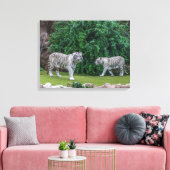 Witte tijgers uitzicht canvas print (Insitu (Woonkamer))