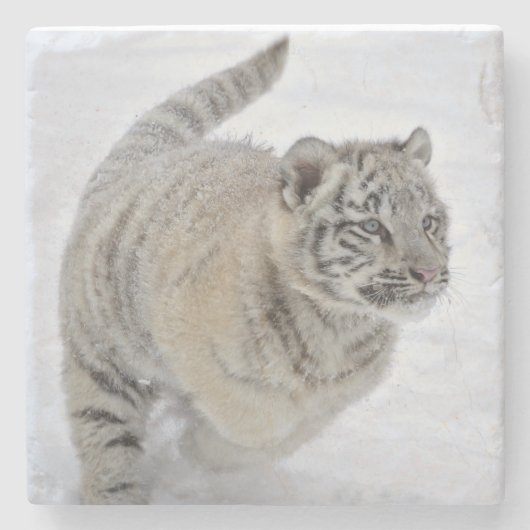 Witte Tijgerwelp Stenen Onderzetter (Voorkant)