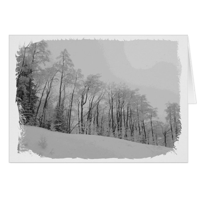 Witte tips (Voorkant Horizontaal)