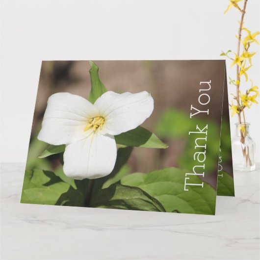 Witte Trillium Bloem Foto Kaart (Gele Bloem)
