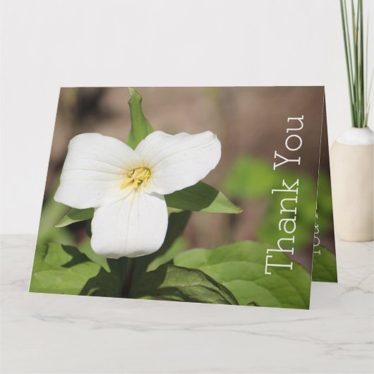 Witte Trillium Bloem Foto Kaart (Voorkant)