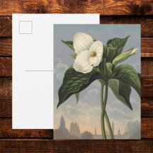 Witte Trillium Bloem in Temple of Flora Stijl 