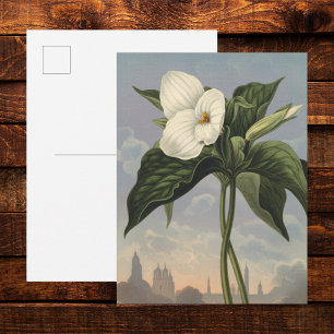 Witte Trillium Bloem in Temple of Flora Stijl Briefkaart