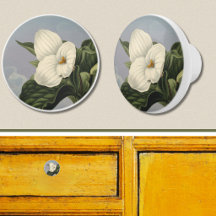 Witte Trillium Bloem in Temple of Flora Stijl 
