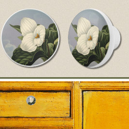 Witte Trillium Bloem in Temple of Flora Stijl  Keramische Knop