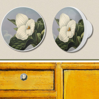 Witte Trillium Bloem in Temple of Flora Stijl  Keramische Knop