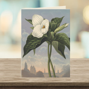 Witte Trillium Bloem Temple of Flora Stijl Blanco Kaart