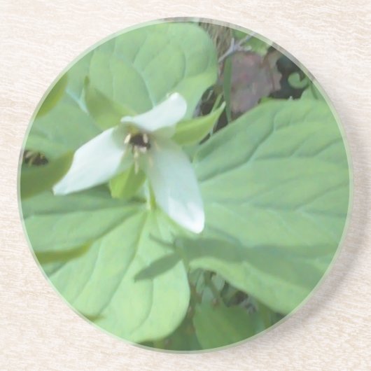 witte trillium met groenvoer zandsteen onderzetter (Voorkant)