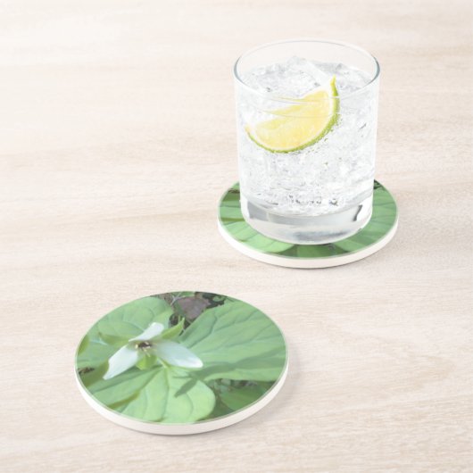 witte trillium met groenvoer zandsteen onderzetter (Zijkant)