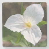 Witte trillium stenen onderzetter (Voorkant)