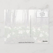 Witte Trilliumbloemen Briefkaart (Achterkant)