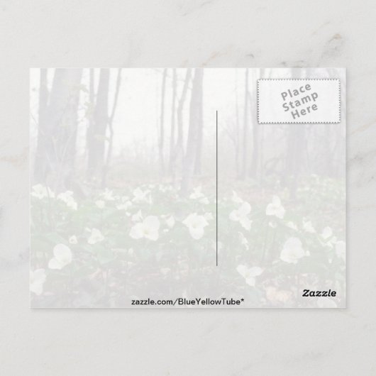 Witte Trilliumbloemen Briefkaart (Achterkant)