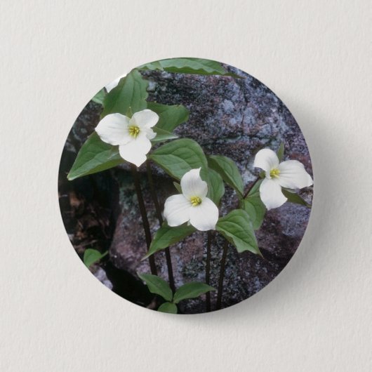 witte trilliumbloemen ronde button 5,7 cm (Voorkant)
