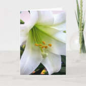 Witte trompet Lily Bedankkaart (Voorkant)