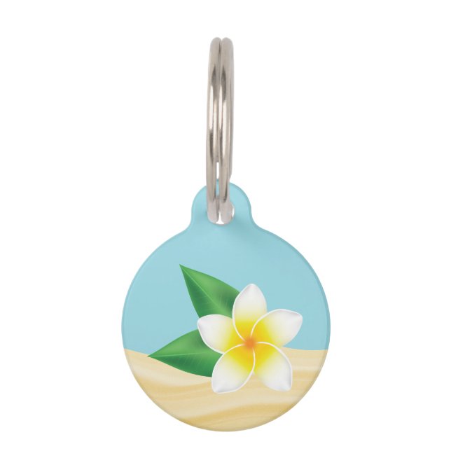 Witte Tropische Frangipani Bloem & Aangepaste Info Huisdierpenning (Voorkant)