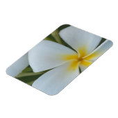 Witte tropische plunjer uit Fiji Magneet (Linkerzijde)