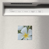 Witte tropische plunjer uit Fiji Magneet (Insitu (Vaatwasser))