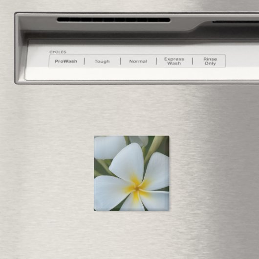 Witte tropische plunjer uit Fiji Magneet (Insitu (Vaatwasser))