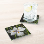 Witte tropische ventilator glazen onderzetter (Schuin)