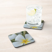 Witte tropische ventilator uit Fiji Bier Onderzetter (Rechterzijde)