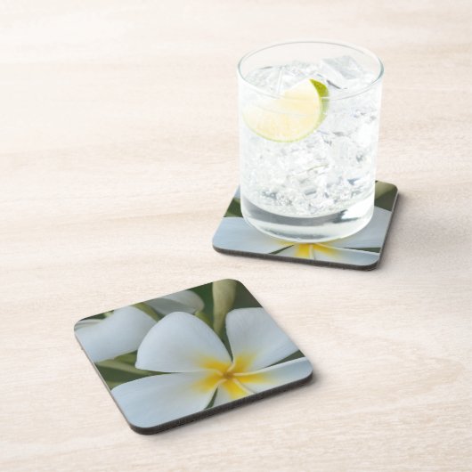 Witte tropische ventilator uit Fiji Bier Onderzetter (Rechterzijde)