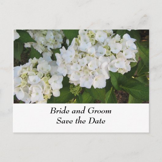 Witte Trouw Hydrangea's Aankondigingskaart (Voorkant)