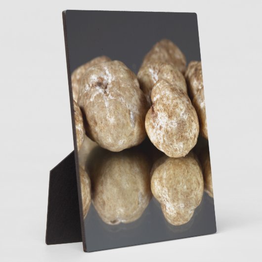 Witte truffels Tuber oligospermum Fotoplaat (Zijkant)