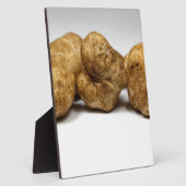 Witte truffels van de soort knollen oligospermum. fotoplaat (Zijkant)