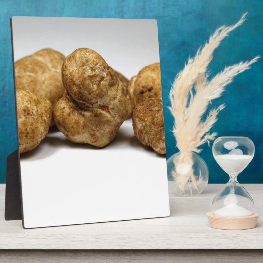 Witte truffels van de soort knollen oligospermum. fotoplaat (Zijkant)