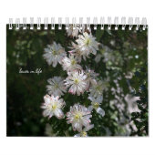 Witte Tuin Bloemen Kalender (Hoes)