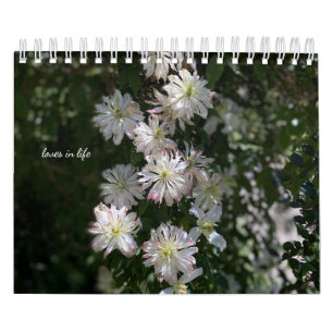 Witte Tuin Bloemen Kalender