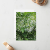 Witte Tuin Bloemen Notitiekaartje (Voorkant / Achterkant in situ)