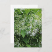 Witte Tuin Bloemen Notitiekaartje (Voorkant / Achterkant)