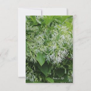 Witte Tuin Bloemen Notitiekaartje