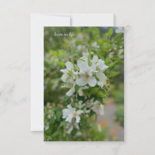 Witte Tuin Bloemen Notitiekaartje