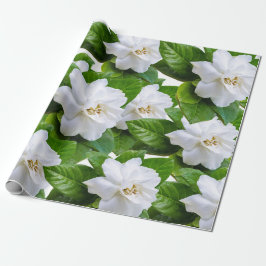 Witte tuinbloemen en groen cadeaupapier