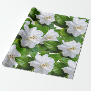 Witte tuinbloemen en groen cadeaupapier